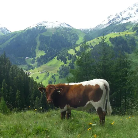 Konukevi Hof Am Platzli 3*