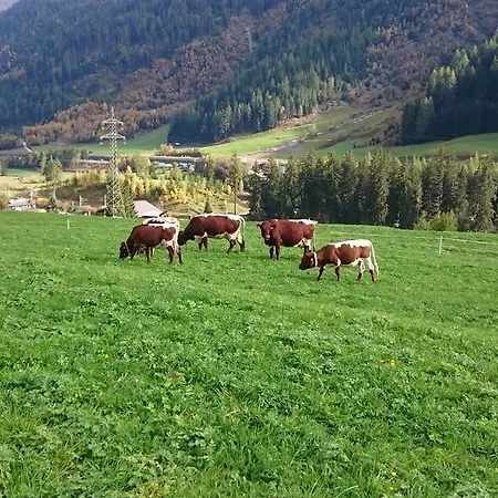 Konukevi Hof Am Platzli 3*