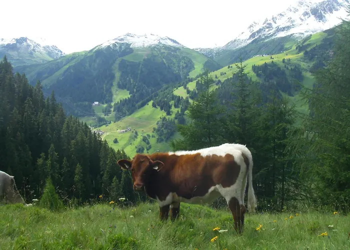 בית הארחה Hof Am Platzli 3*